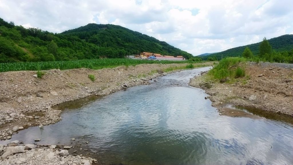 P1000225_����.jpg