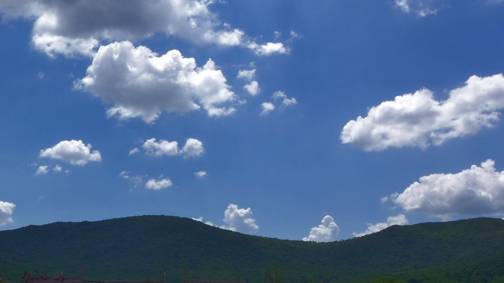 P1000229_����.jpg