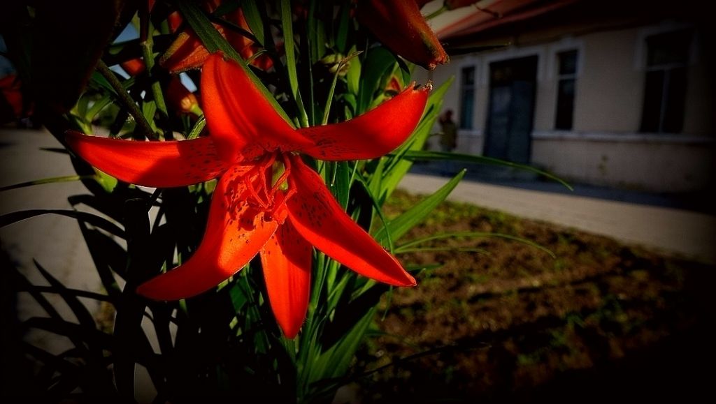 P1000303_����.jpg