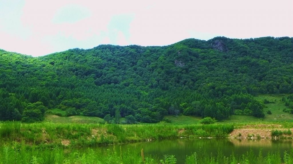 P1000226_����.jpg