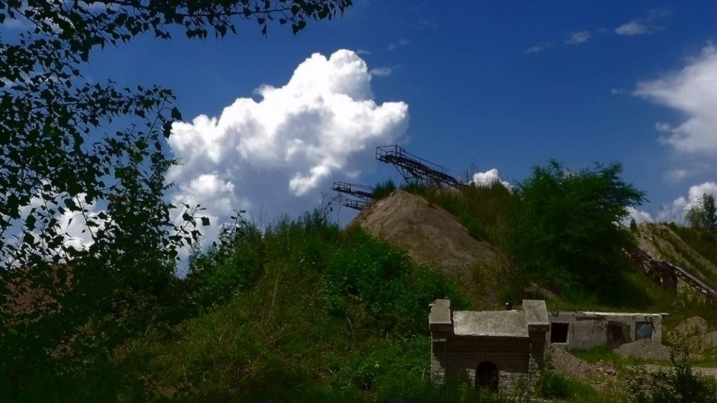 P1000237_����.jpg