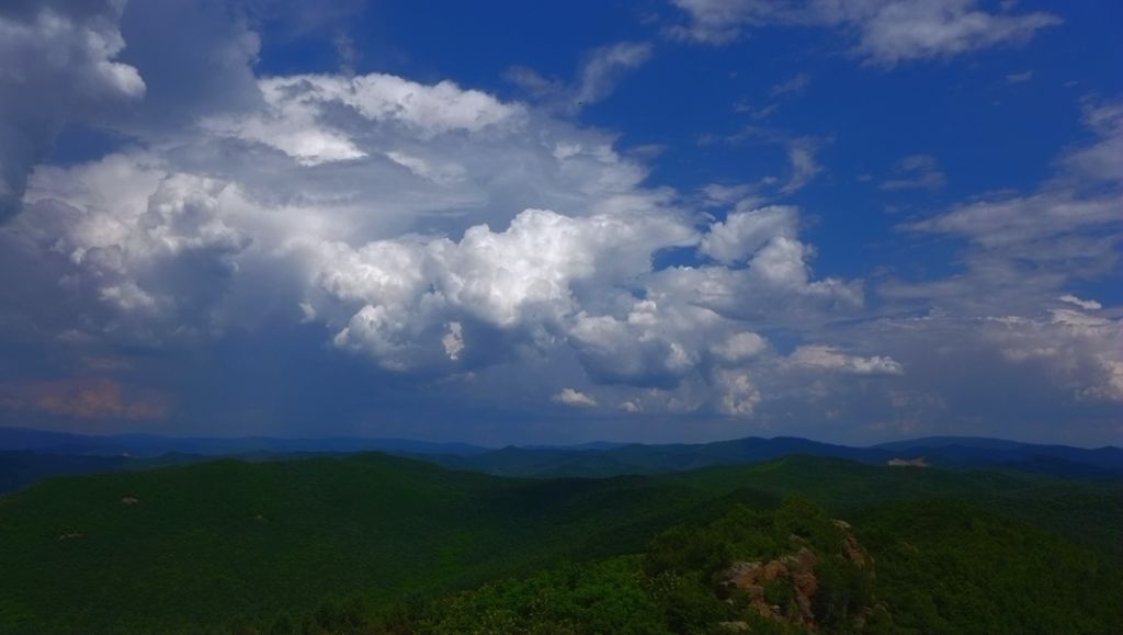 P1000246_����.jpg