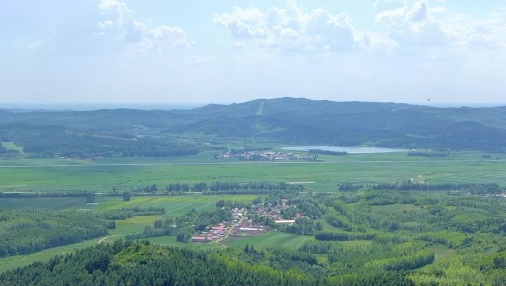 P1000256_����.jpg