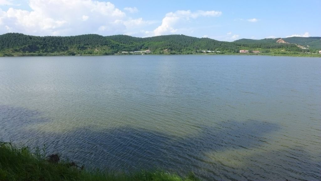 P1000267_����.jpg