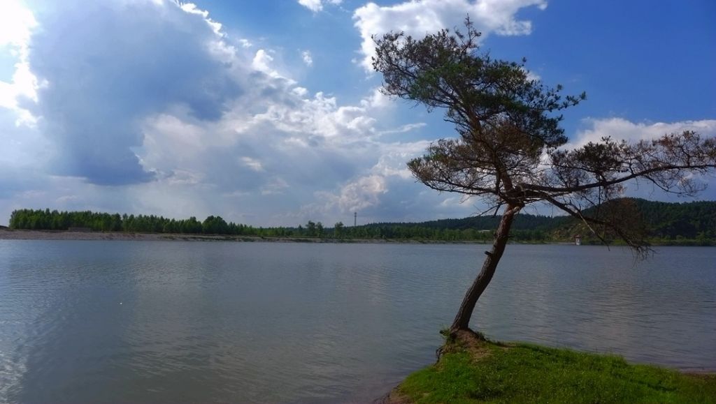 P1000288_����.jpg