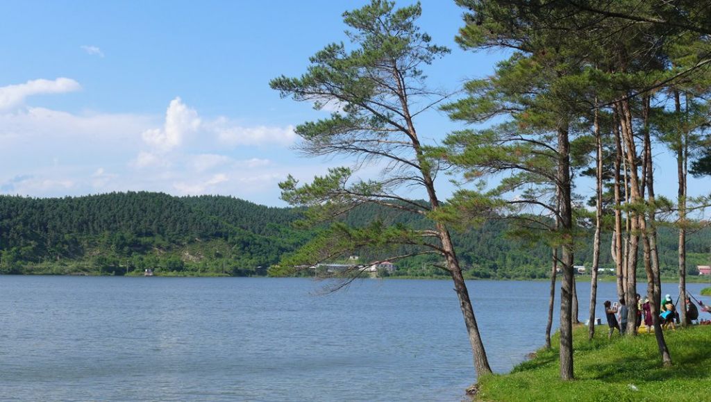 P1000291_����.jpg