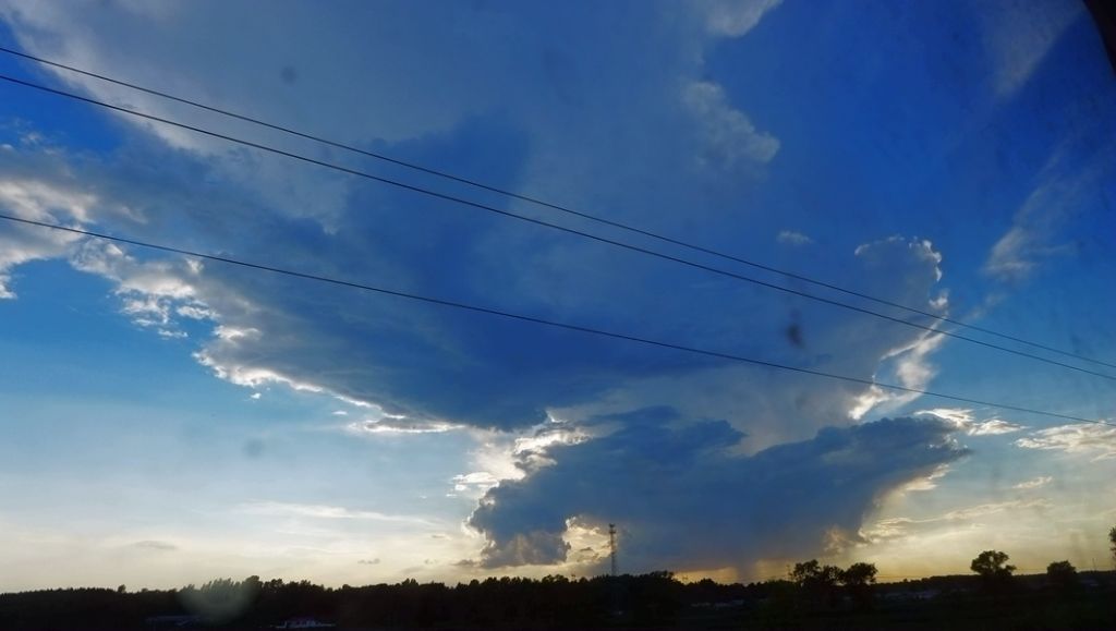 P1000307_����.jpg