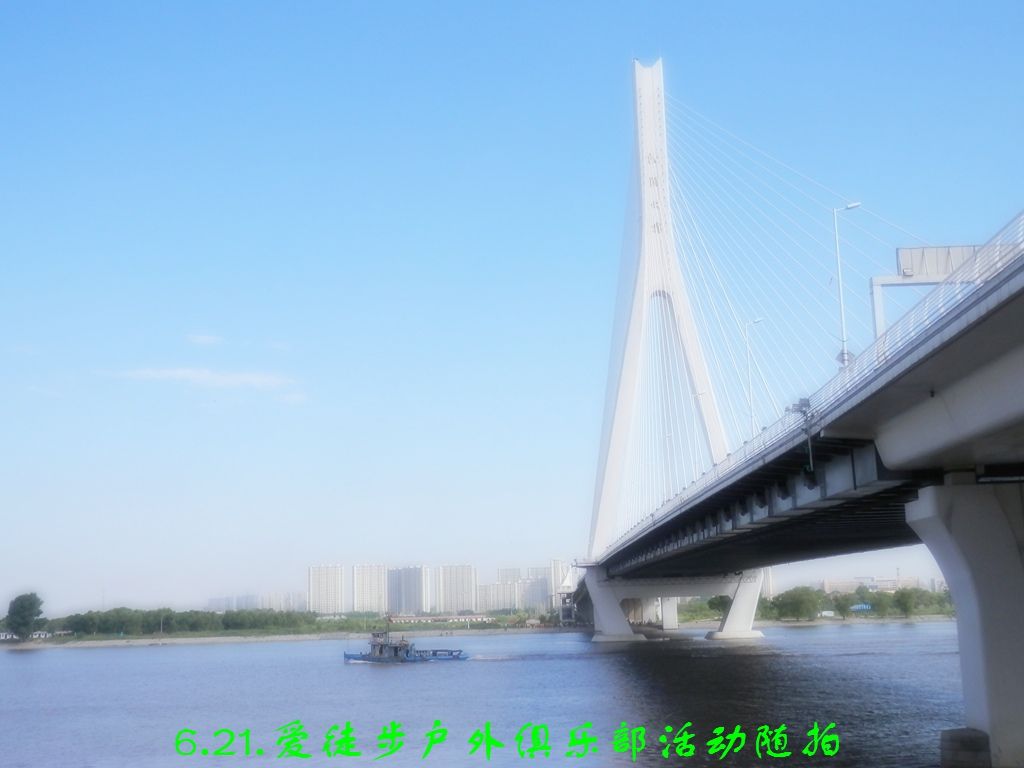 P6210510.jpg