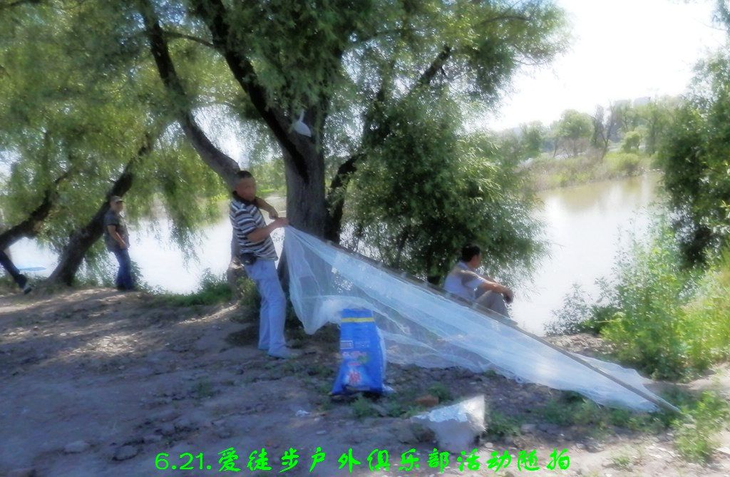 P6210540.jpg