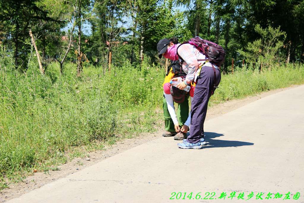 IMG_2785.jpg