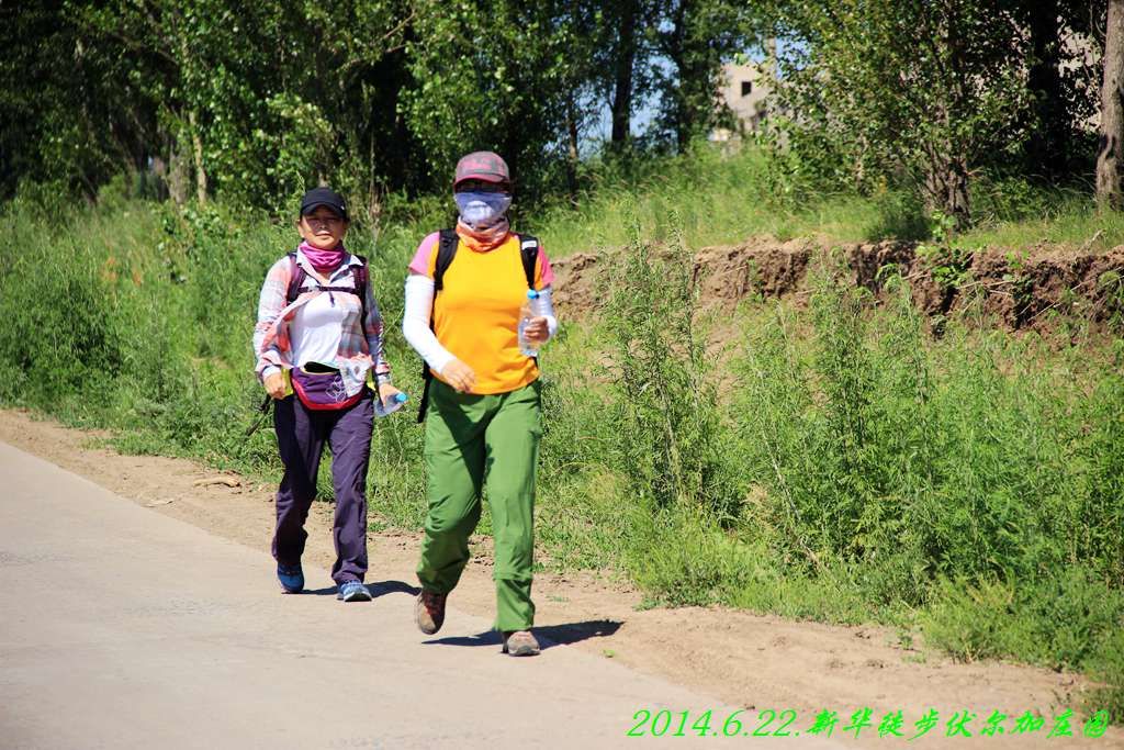 IMG_2787.jpg