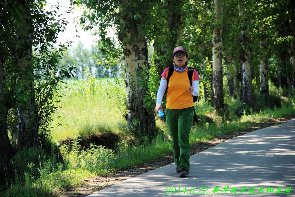IMG_2806.jpg