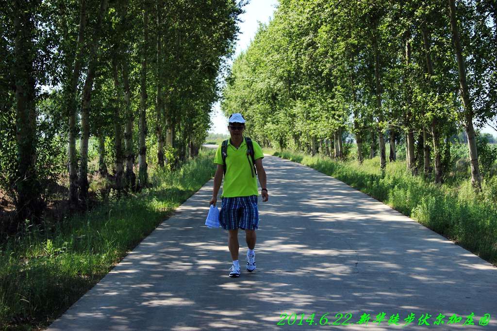 IMG_2797.jpg