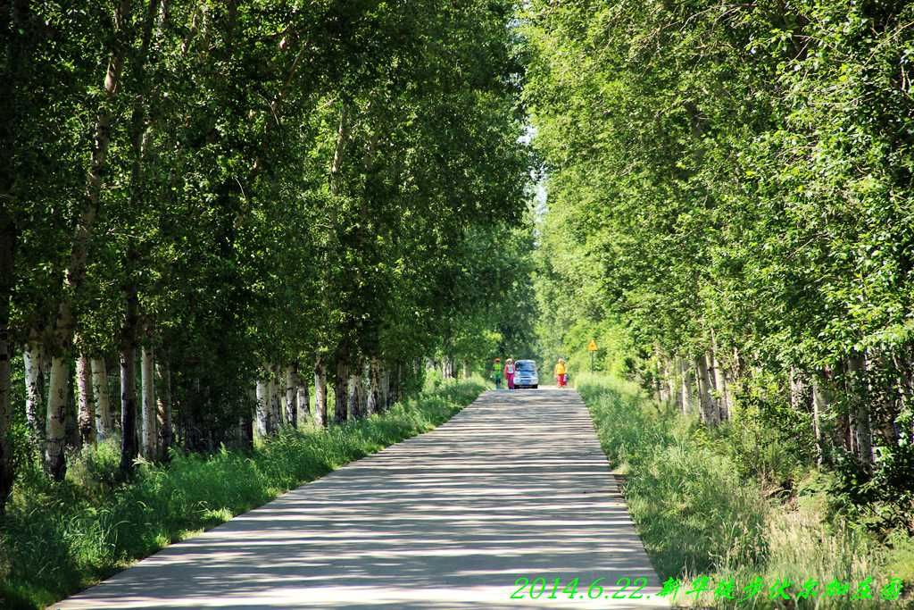 IMG_2799.jpg