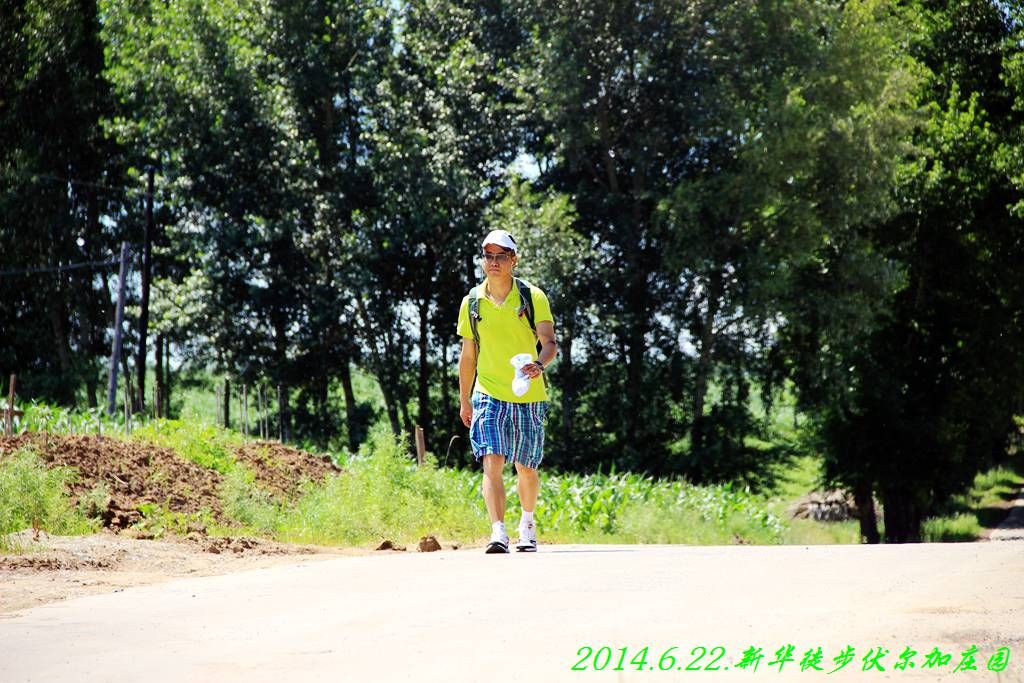 IMG_2815.jpg
