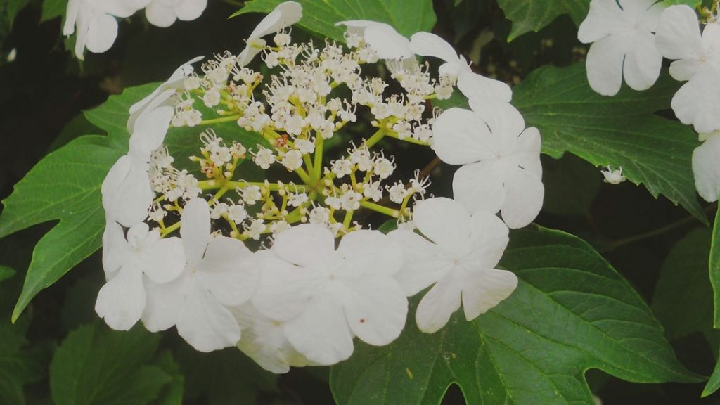 ��Ƭ 041.jpg