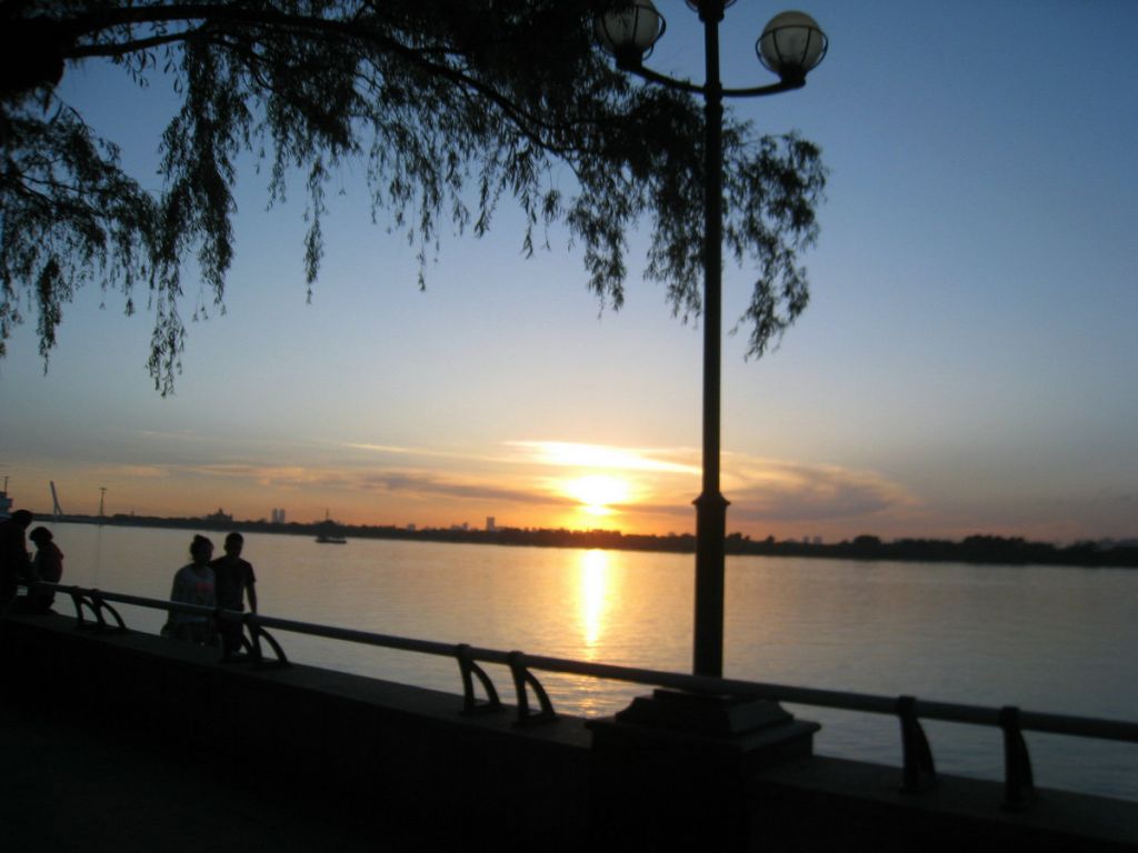 IMG_1239.JPG