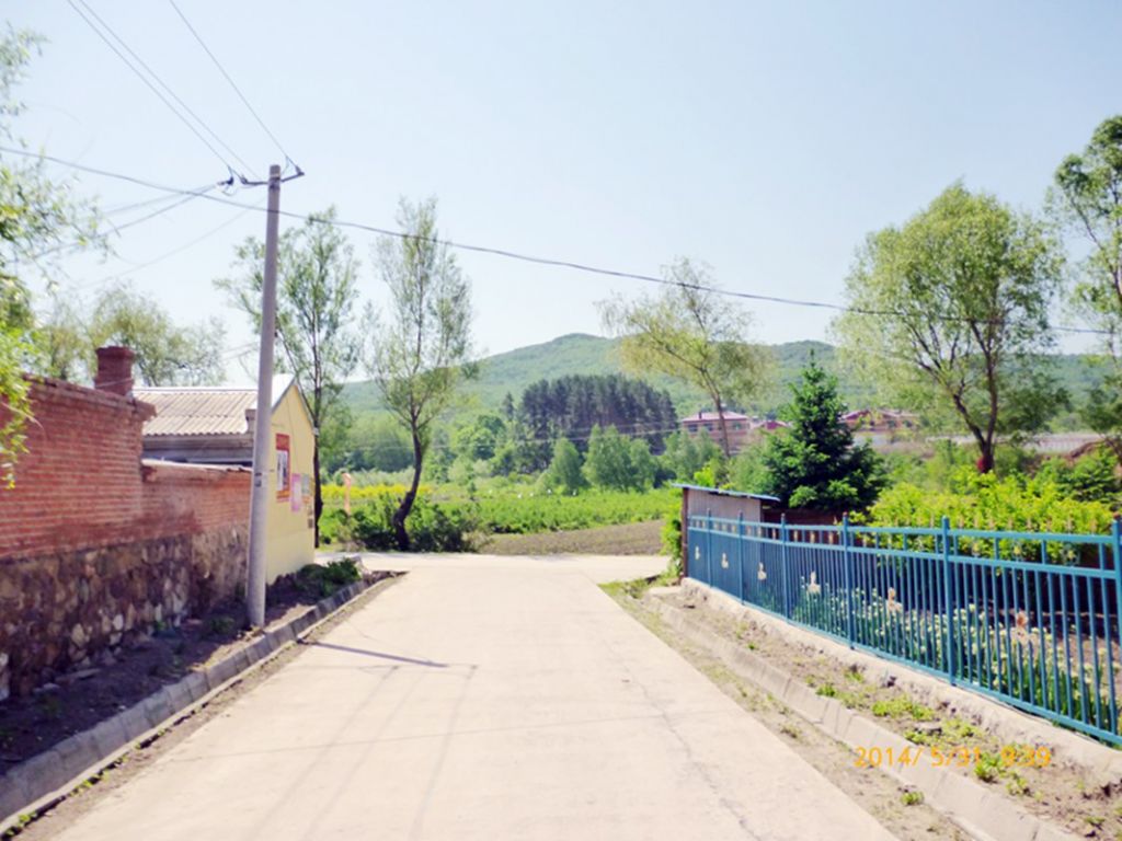 P1050730.jpg