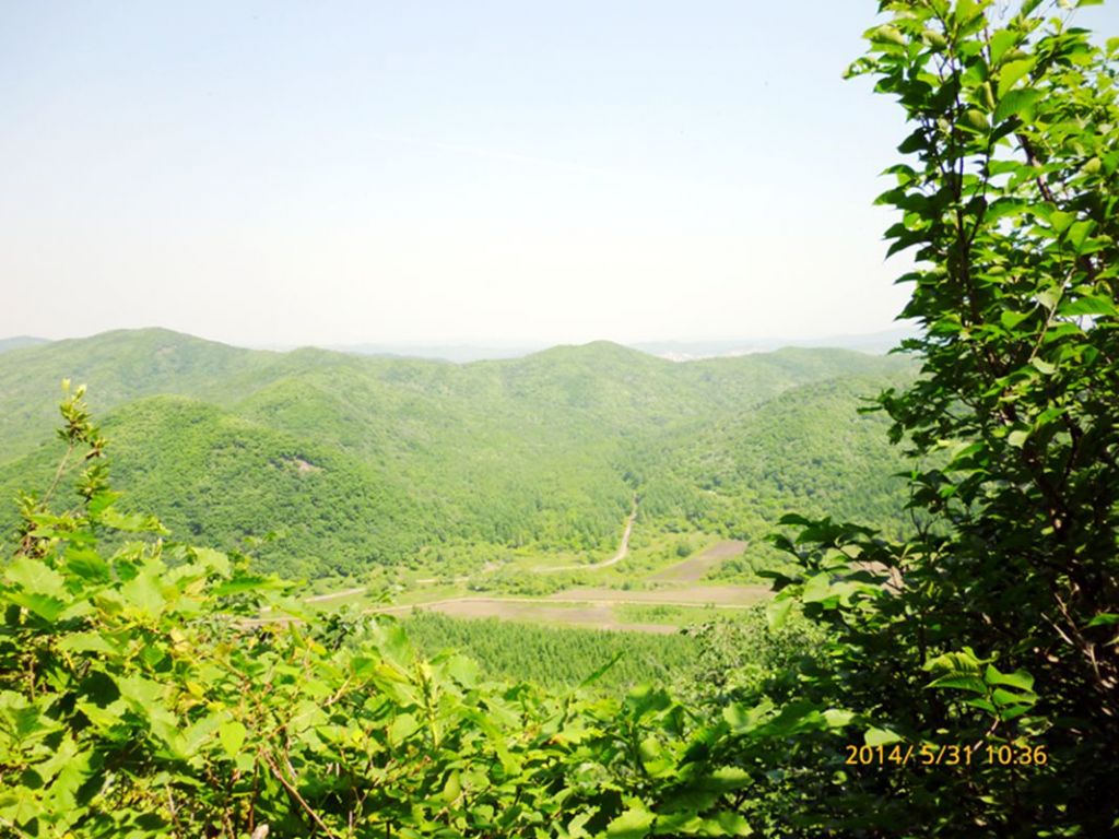 P1050740.jpg