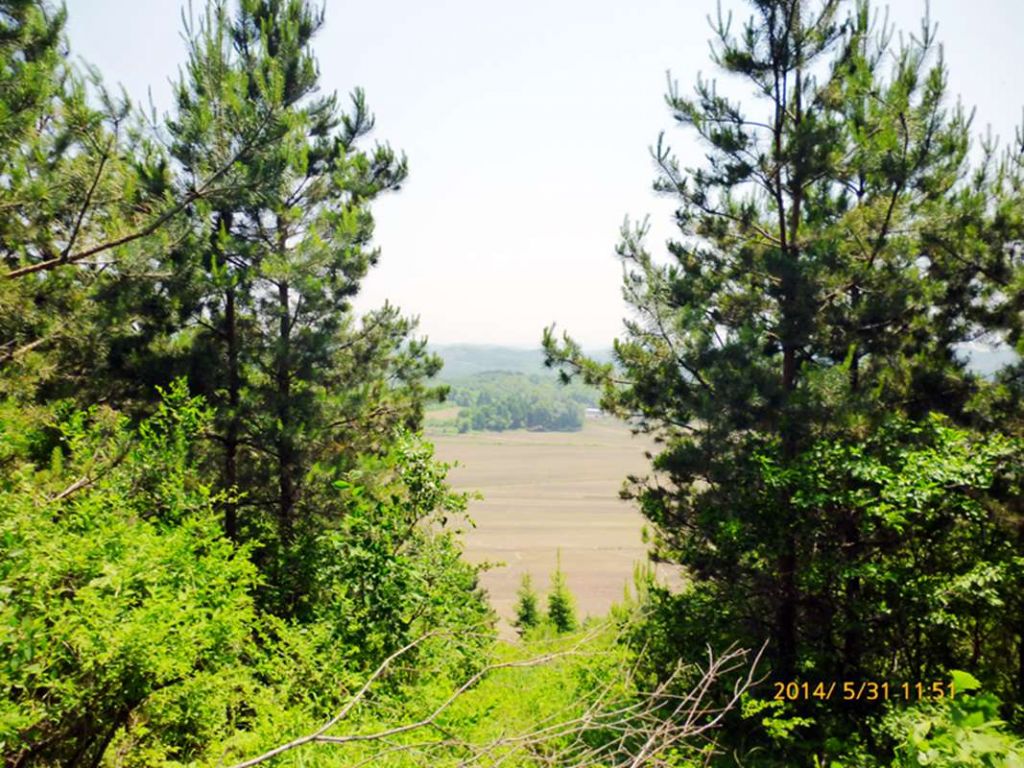P1050742.jpg