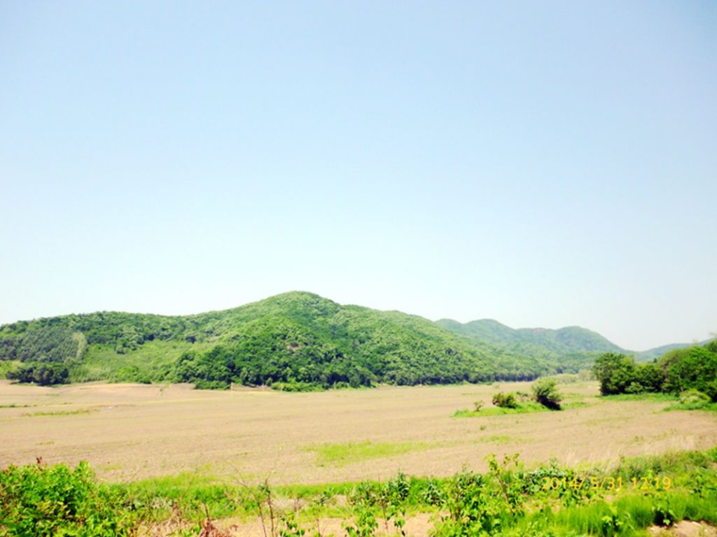 P1050745.jpg