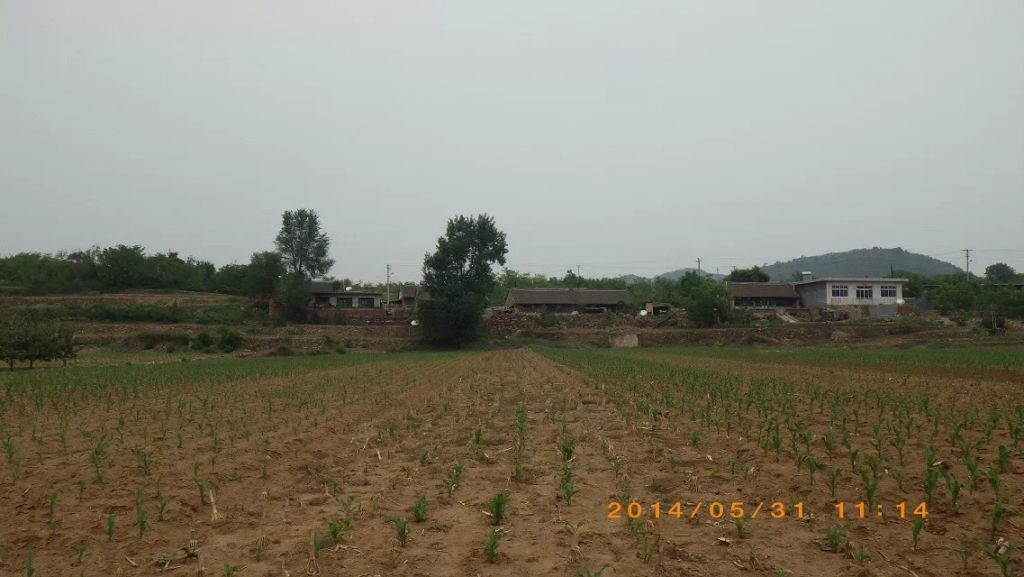 103.jpg