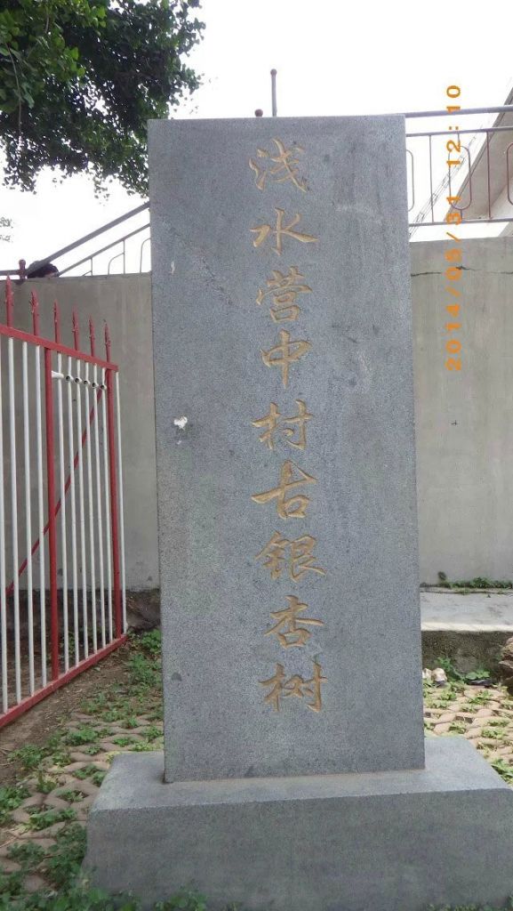 114.jpg