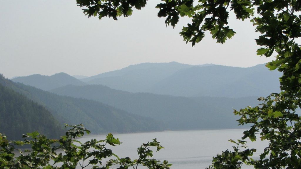 NET_0320.jpg