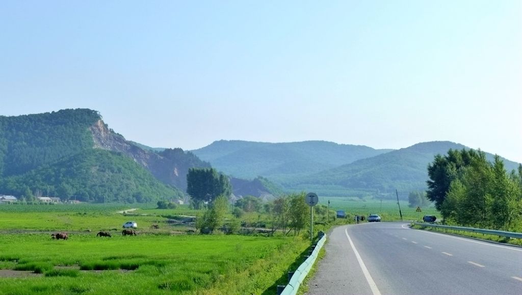 P1000390.JPG