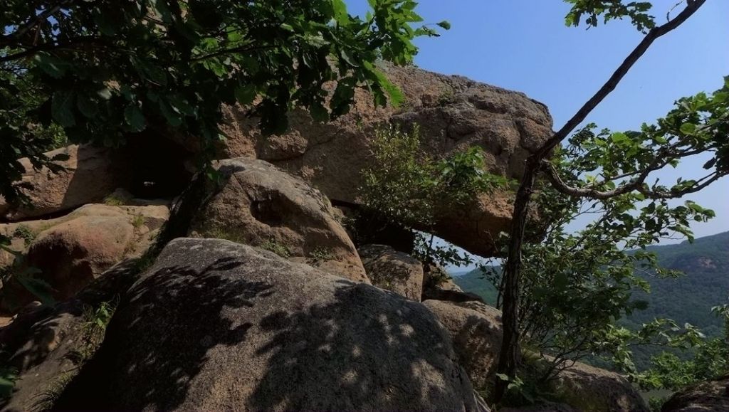 P1000433.JPG