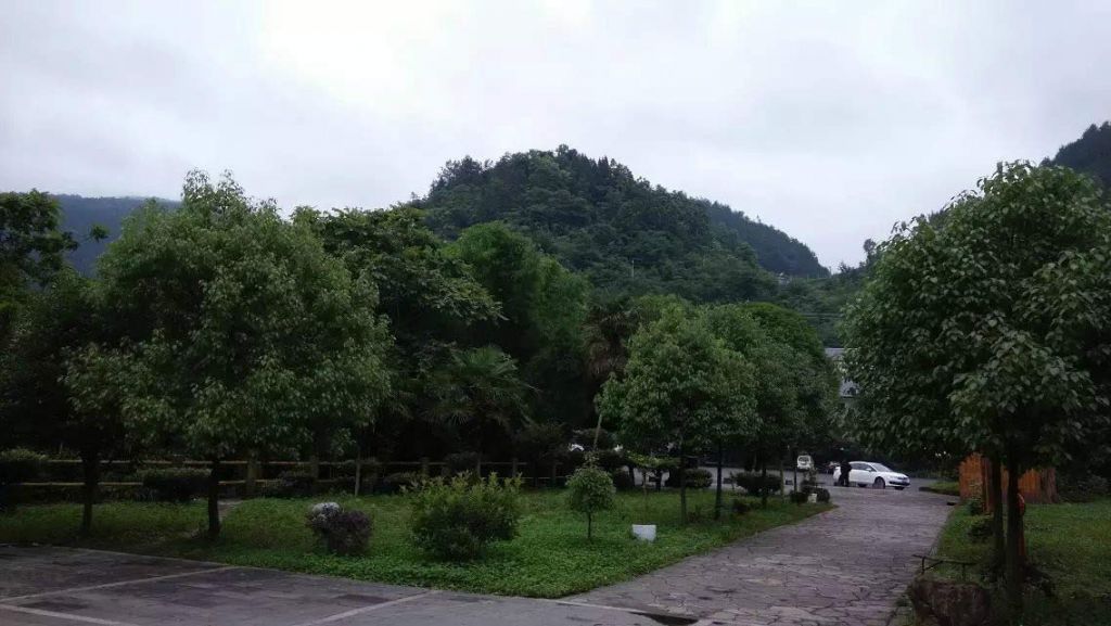 004.jpg