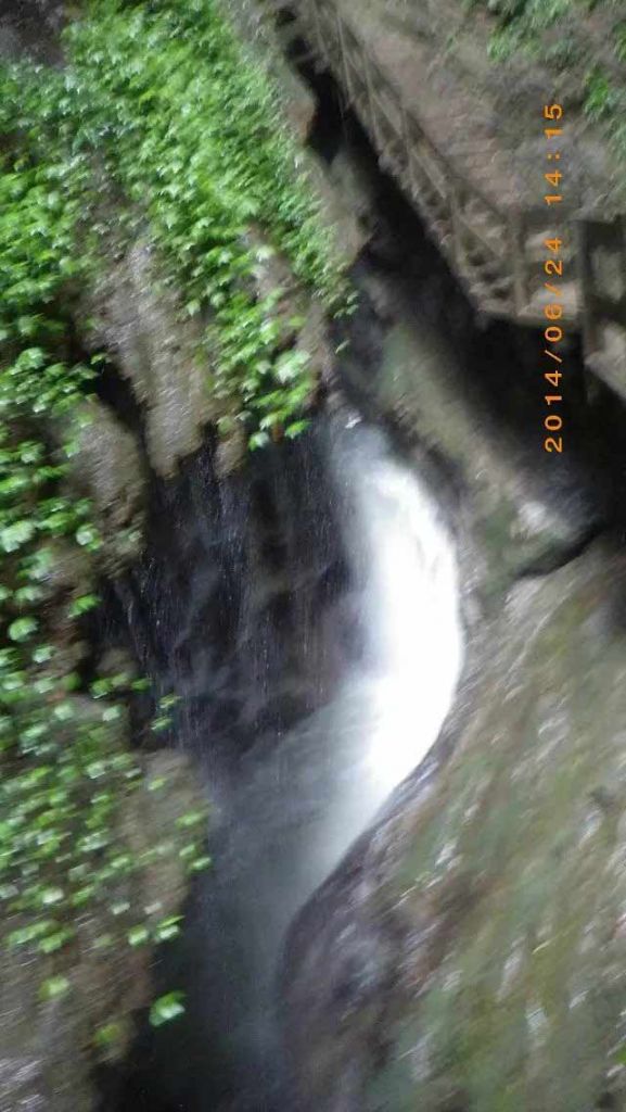 169.jpg