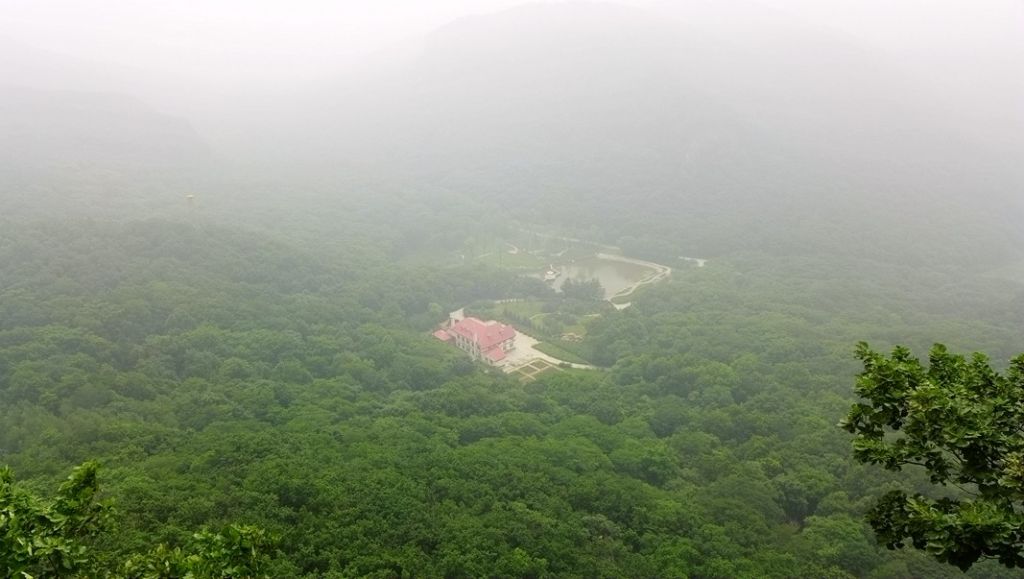 P1000557.JPG