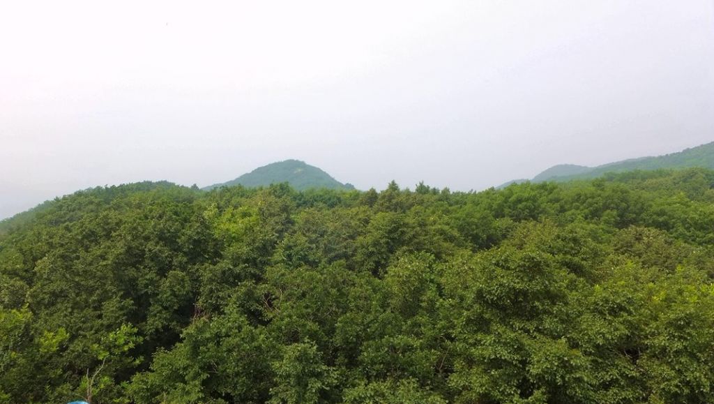 P1000572.JPG