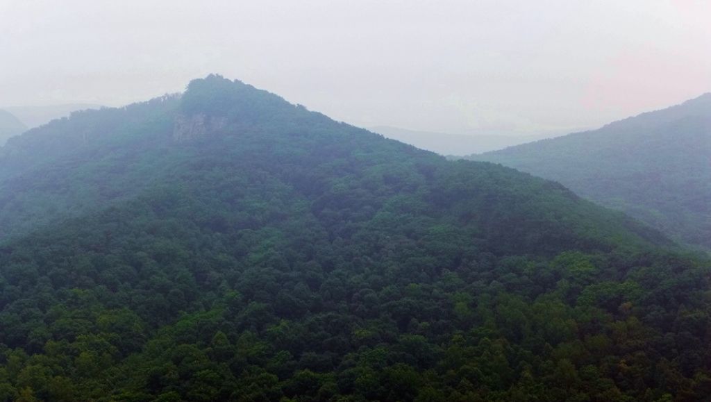 P1000584.JPG