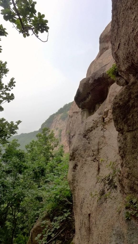 P1000596.JPG