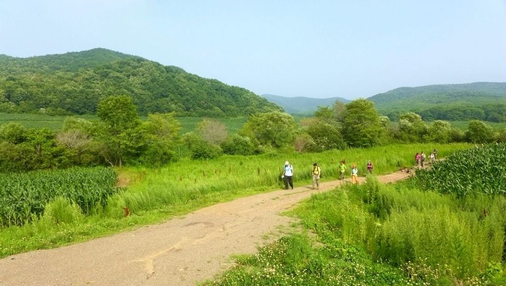 P1000671.JPG