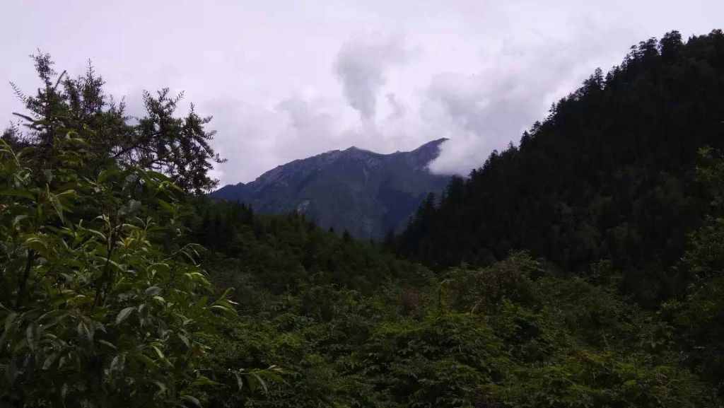 173.jpg