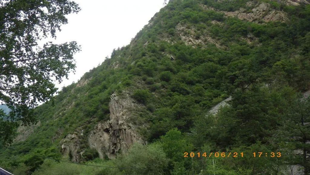 375.jpg