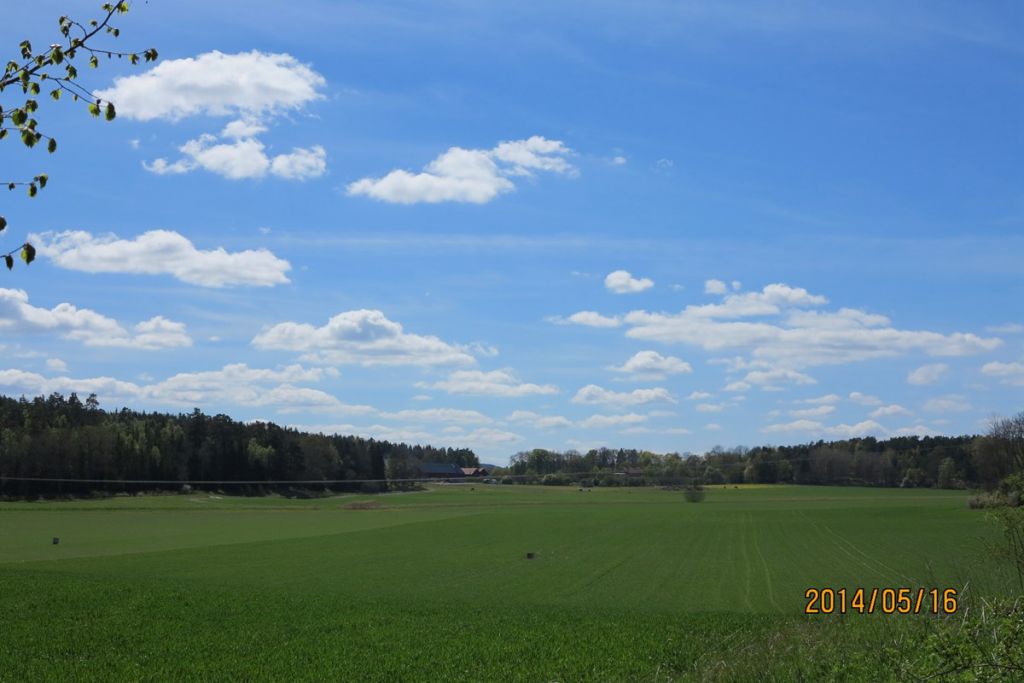 IMG_2558.jpg