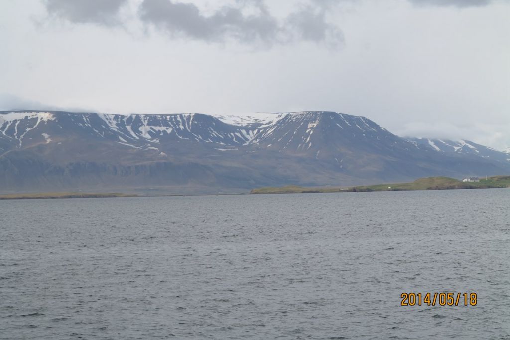 IMG_2731.jpg