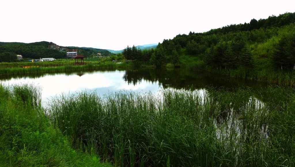 P1000749.JPG