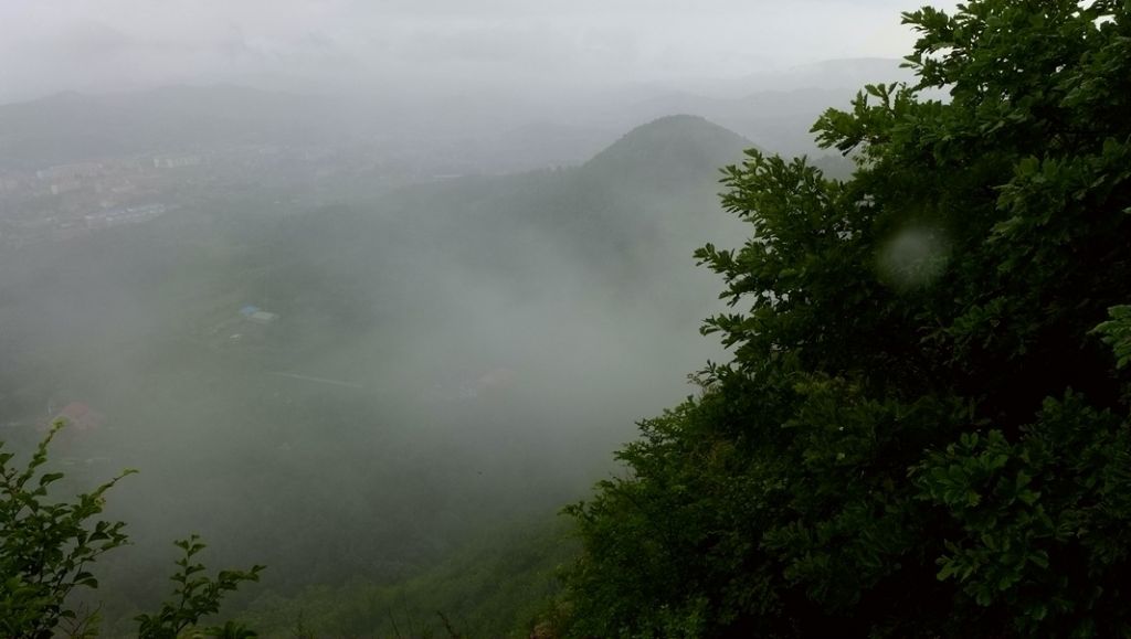 P1000772.JPG