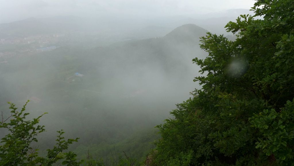 P1000773.JPG