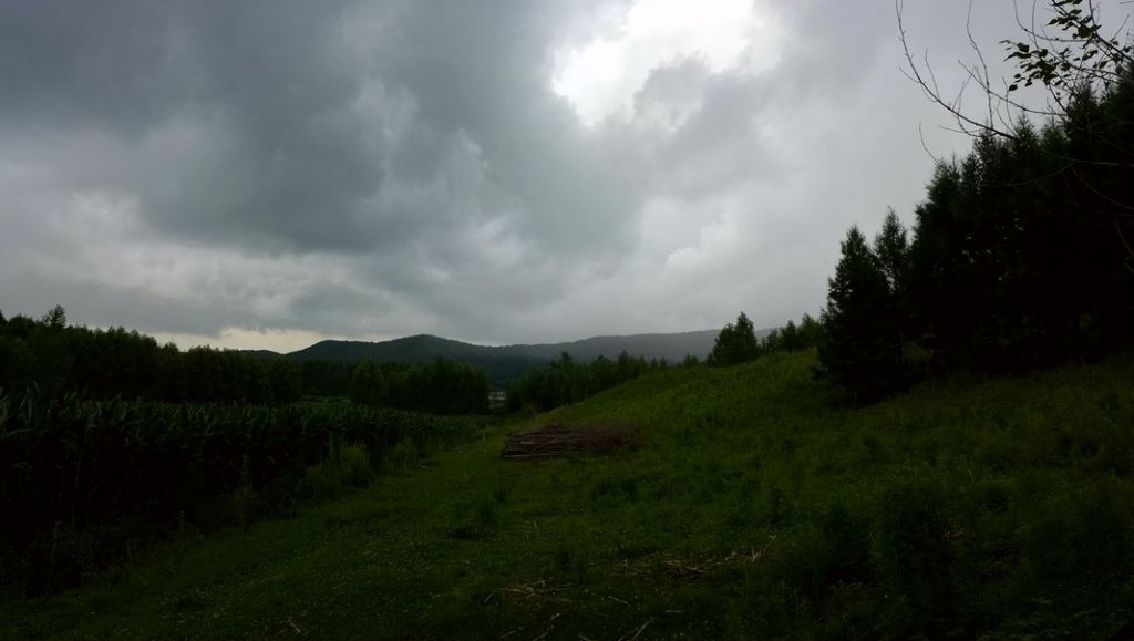 P1000769.JPG