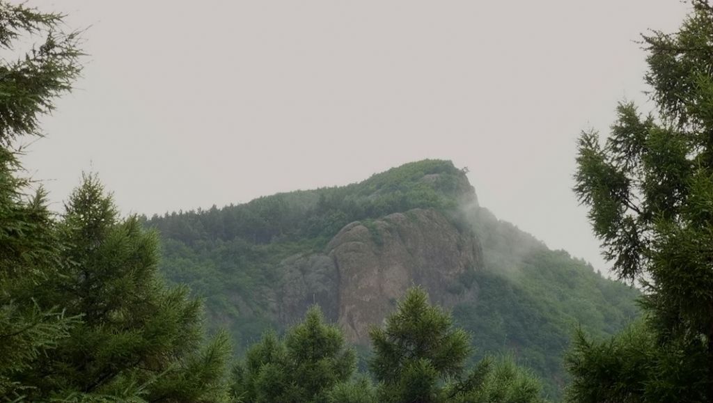 P1000781.JPG