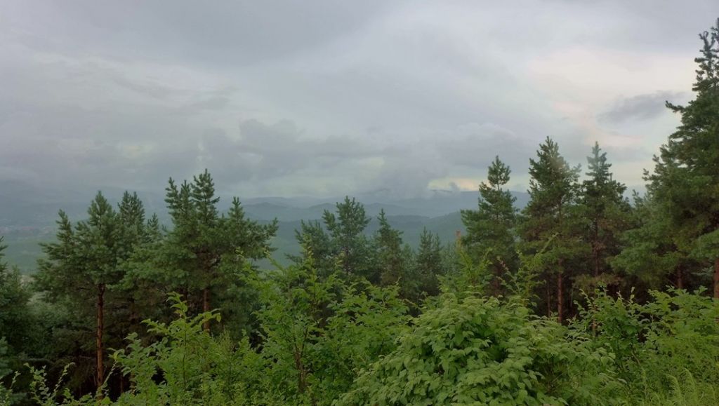 P1000776.JPG