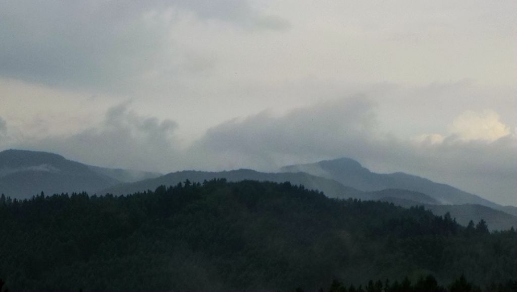 P1000784.JPG