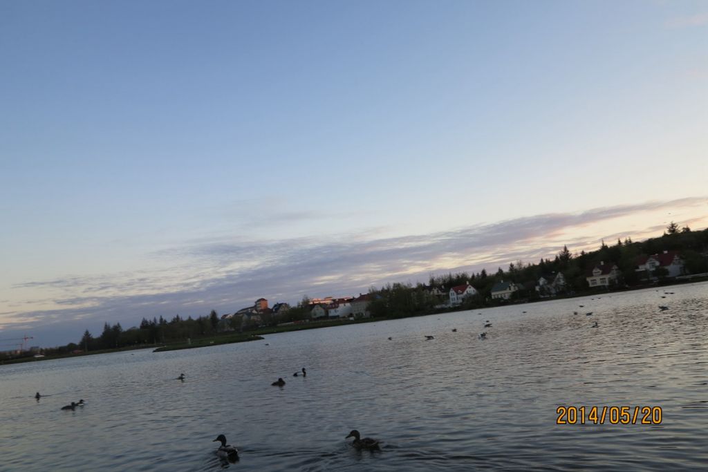 IMG_3285.jpg