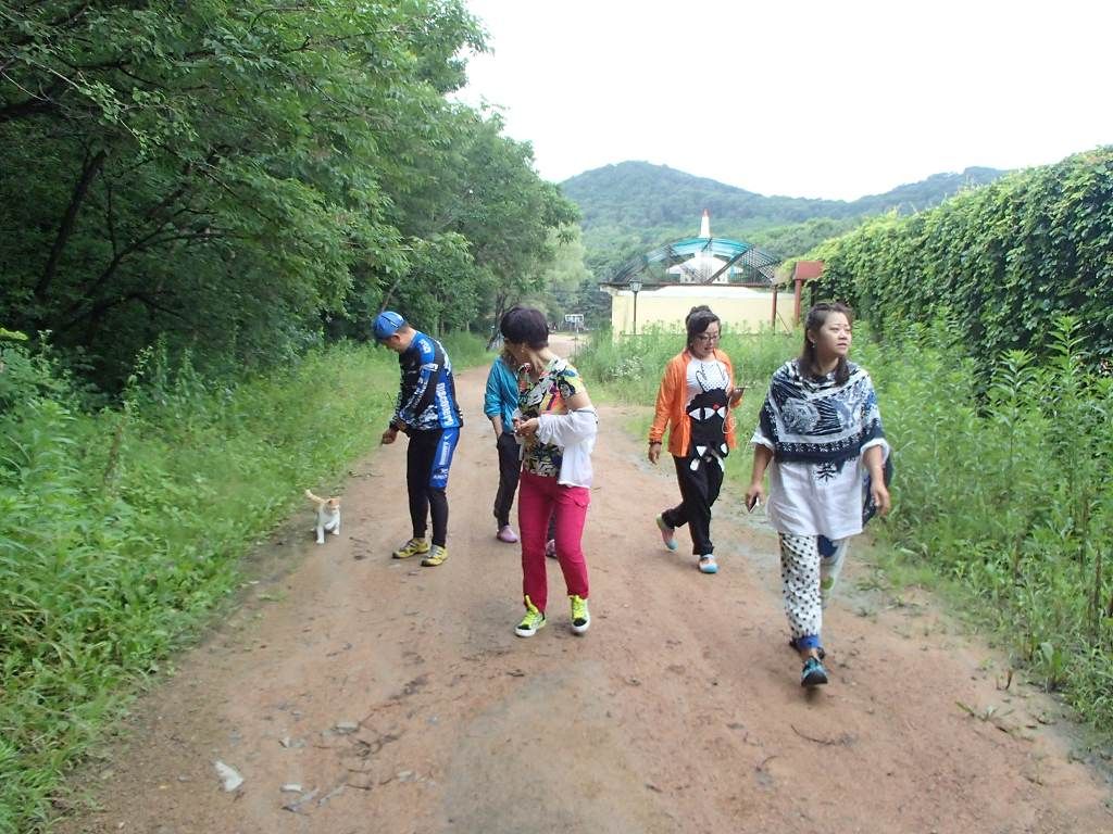 P7135649.jpg